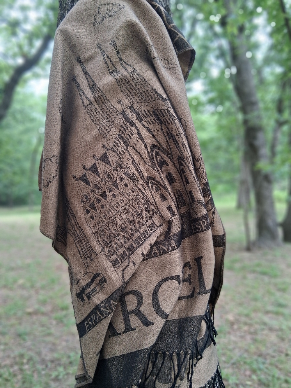 Barcelona Graphic Scarf - Brown